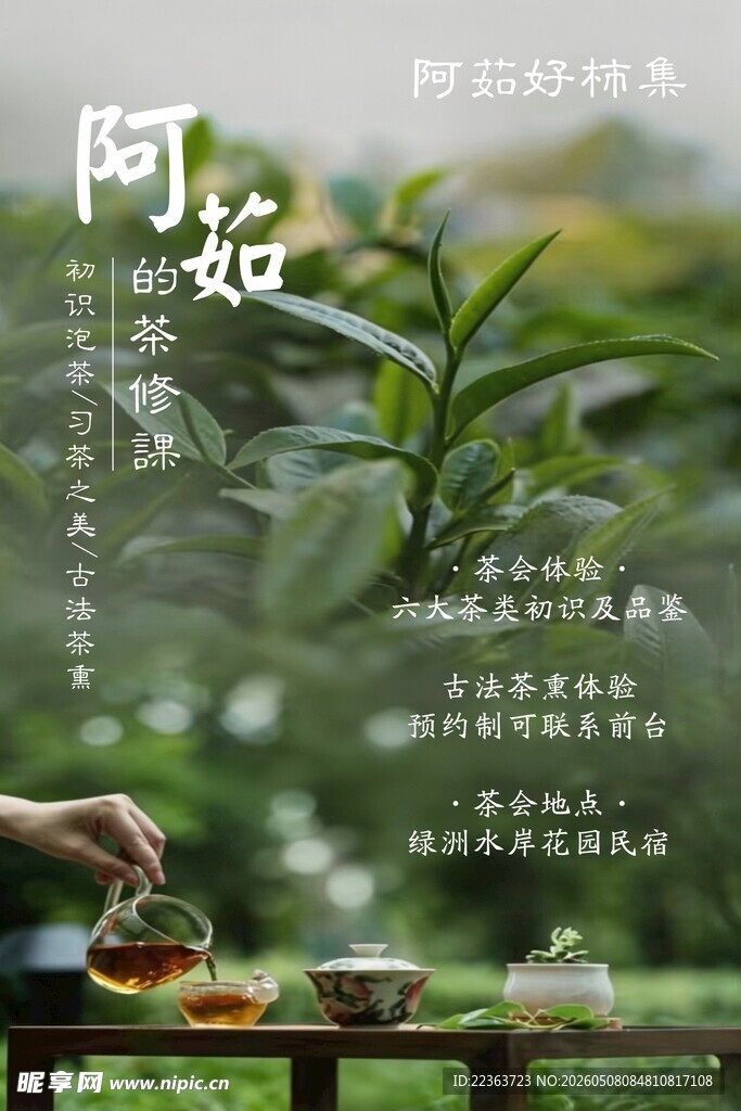 悠然品茶 赏绿意茶景