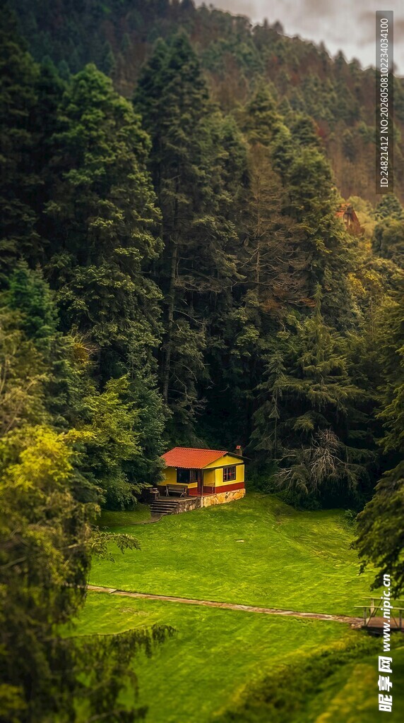 山林中的静谧小屋