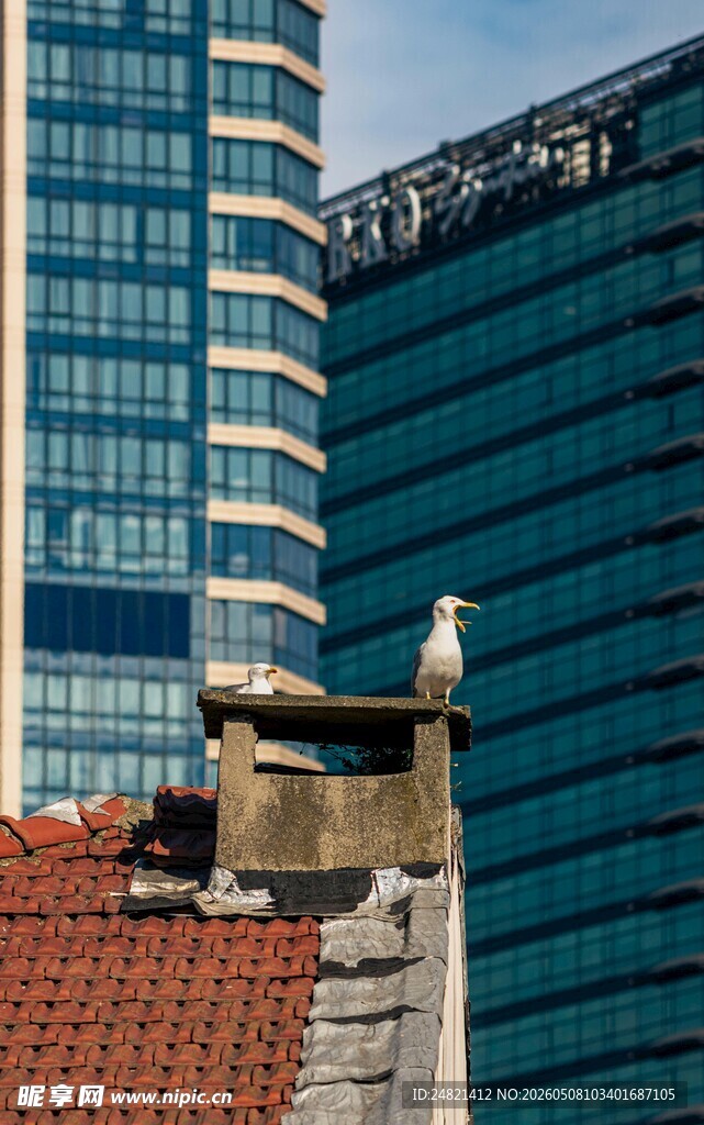 城市新旧建筑对比景观