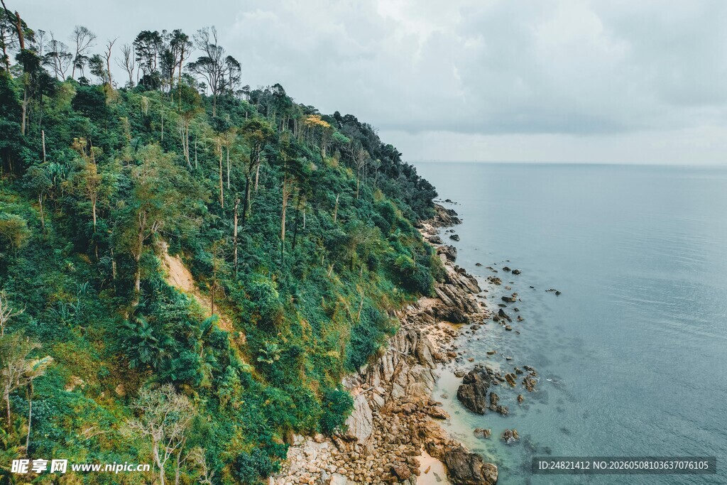 海岸边葱郁的绿色悬崖