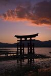 夕阳下的鸟居景观