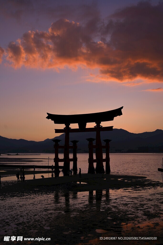 夕阳下的鸟居景观