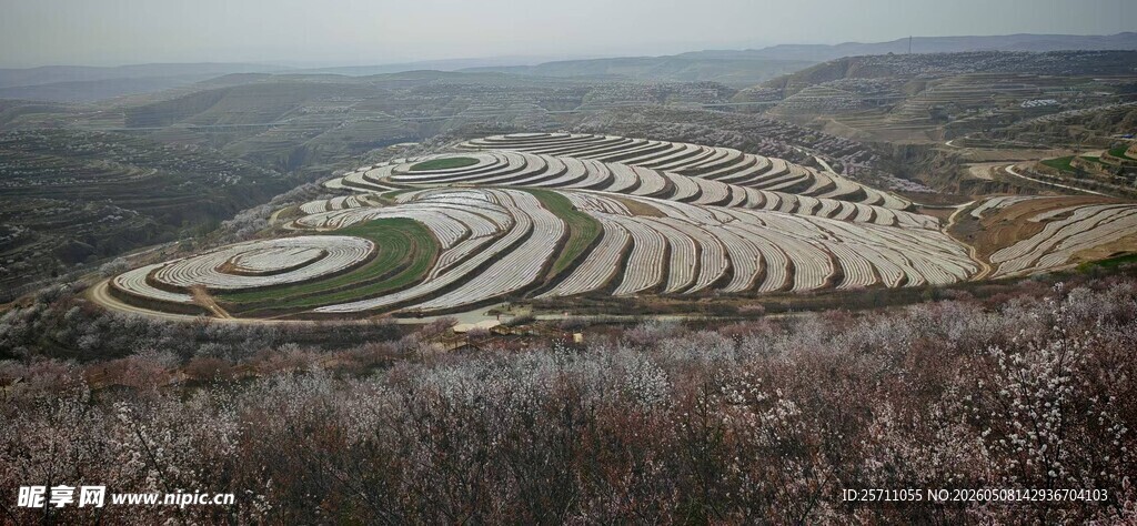 金鸡岭