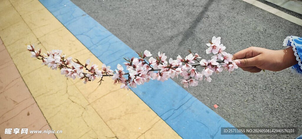 金鸡岭