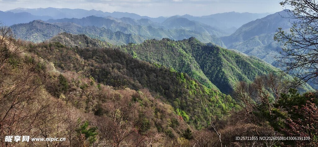 秦岭