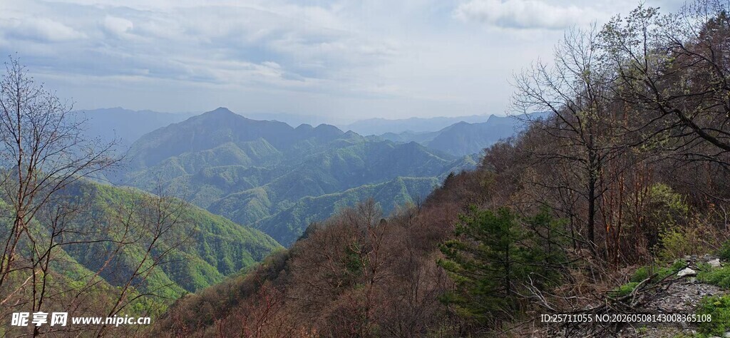秦岭