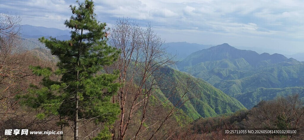 秦岭