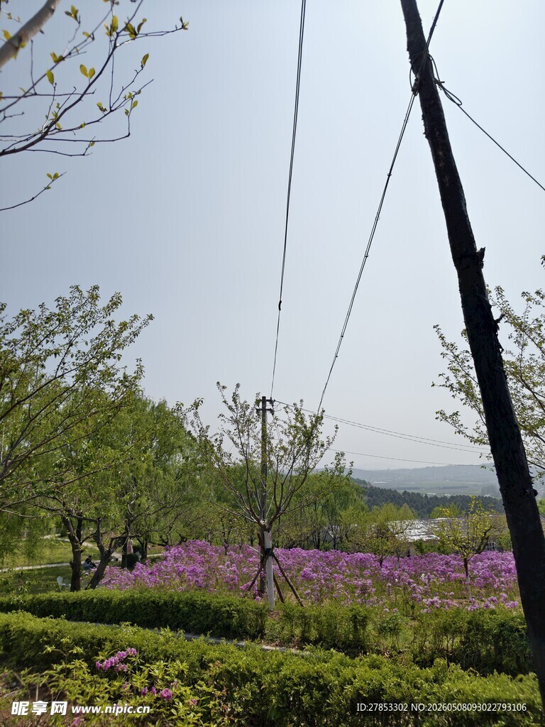 春日田园风光