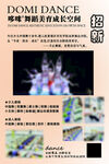 舞蹈培训招生宣传海报