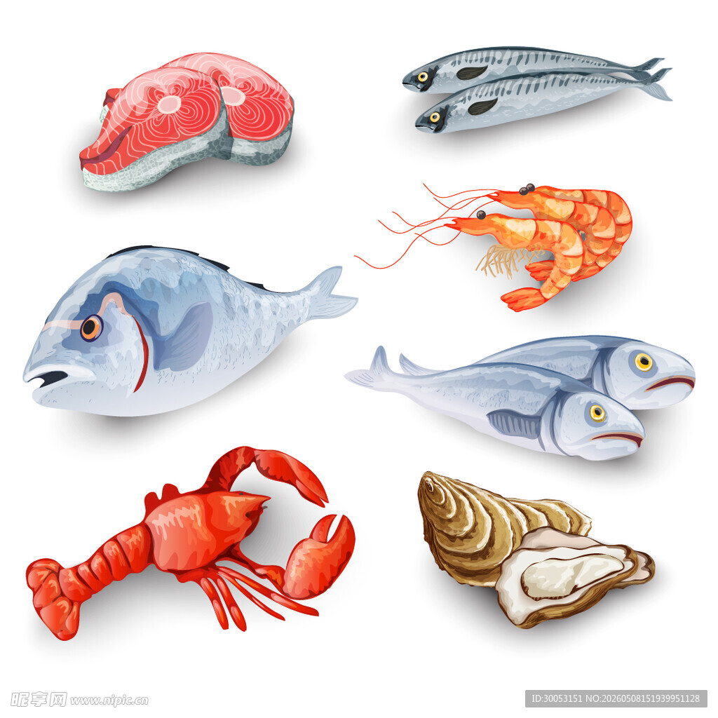 海洋生物集合