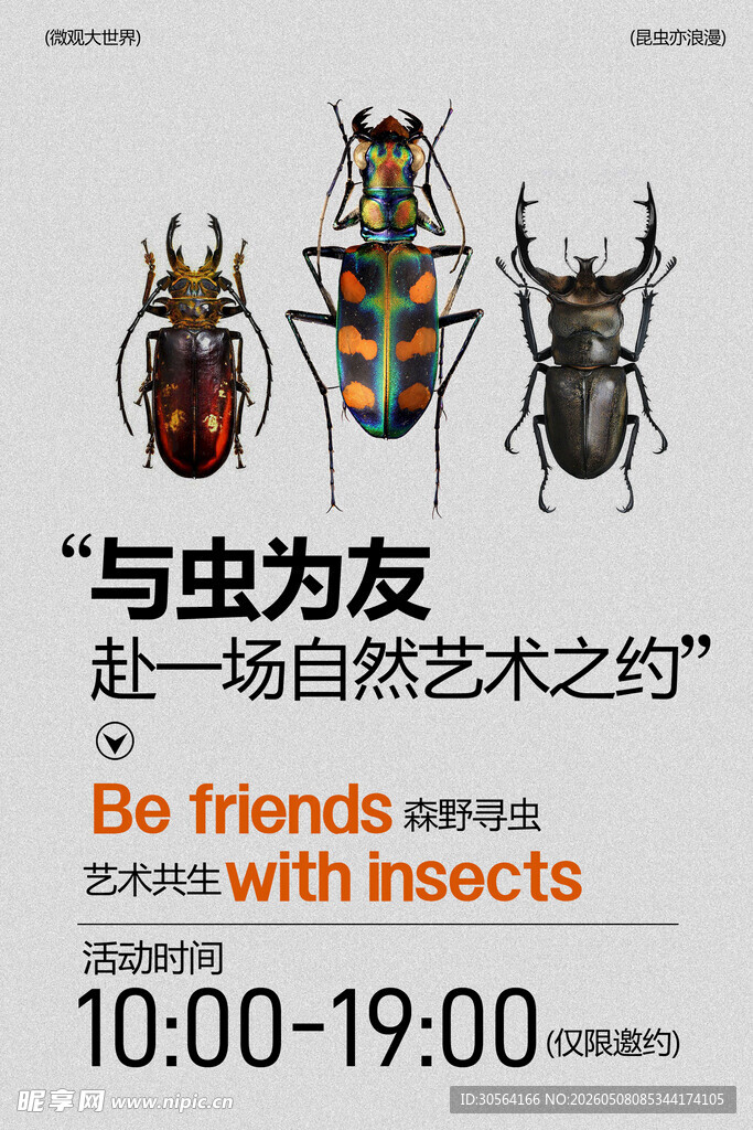 与虫为友艺术展宣传海报