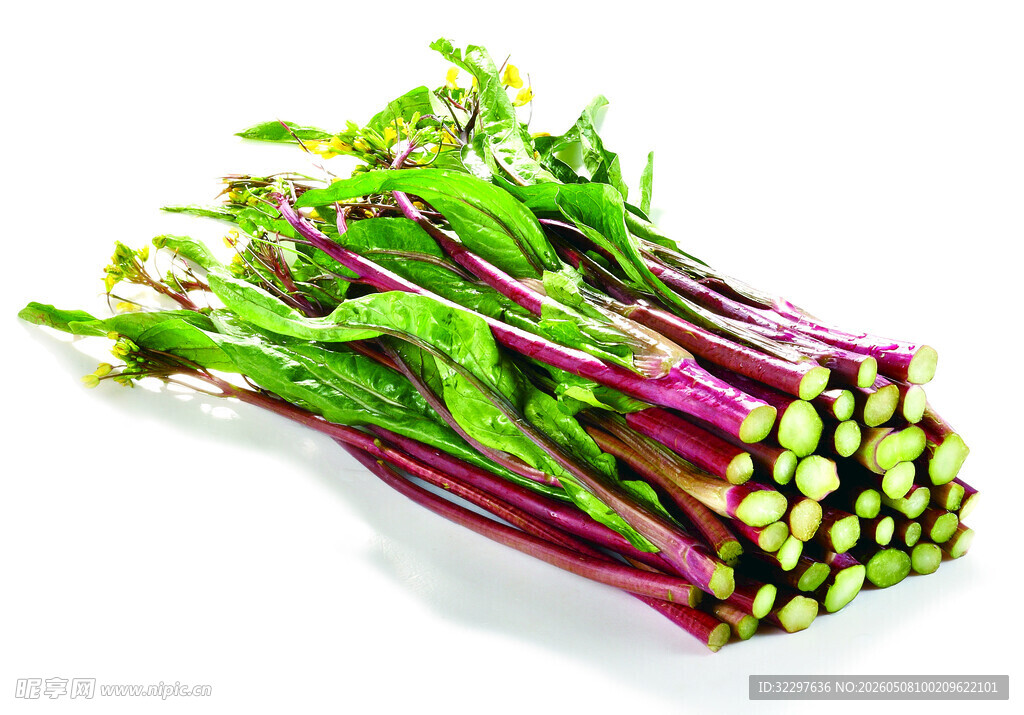 红菜芯