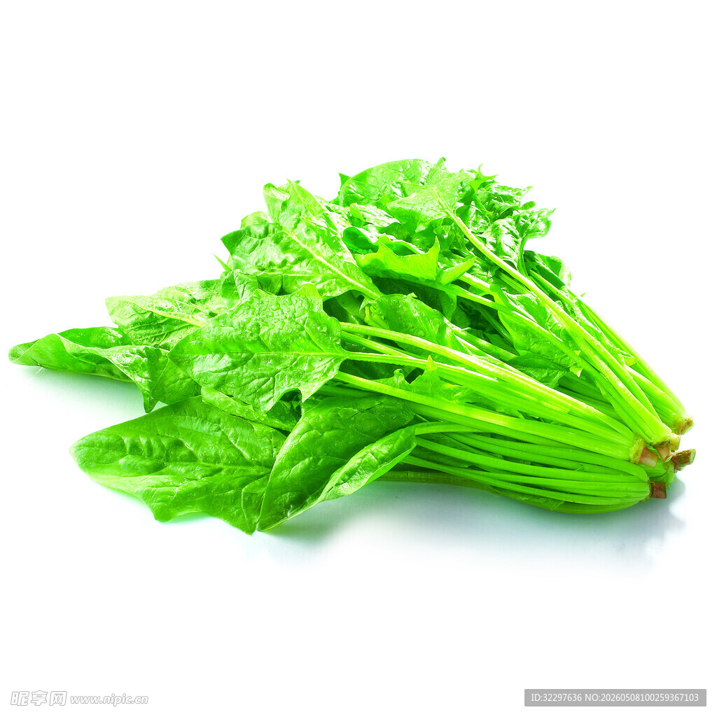 菠菜