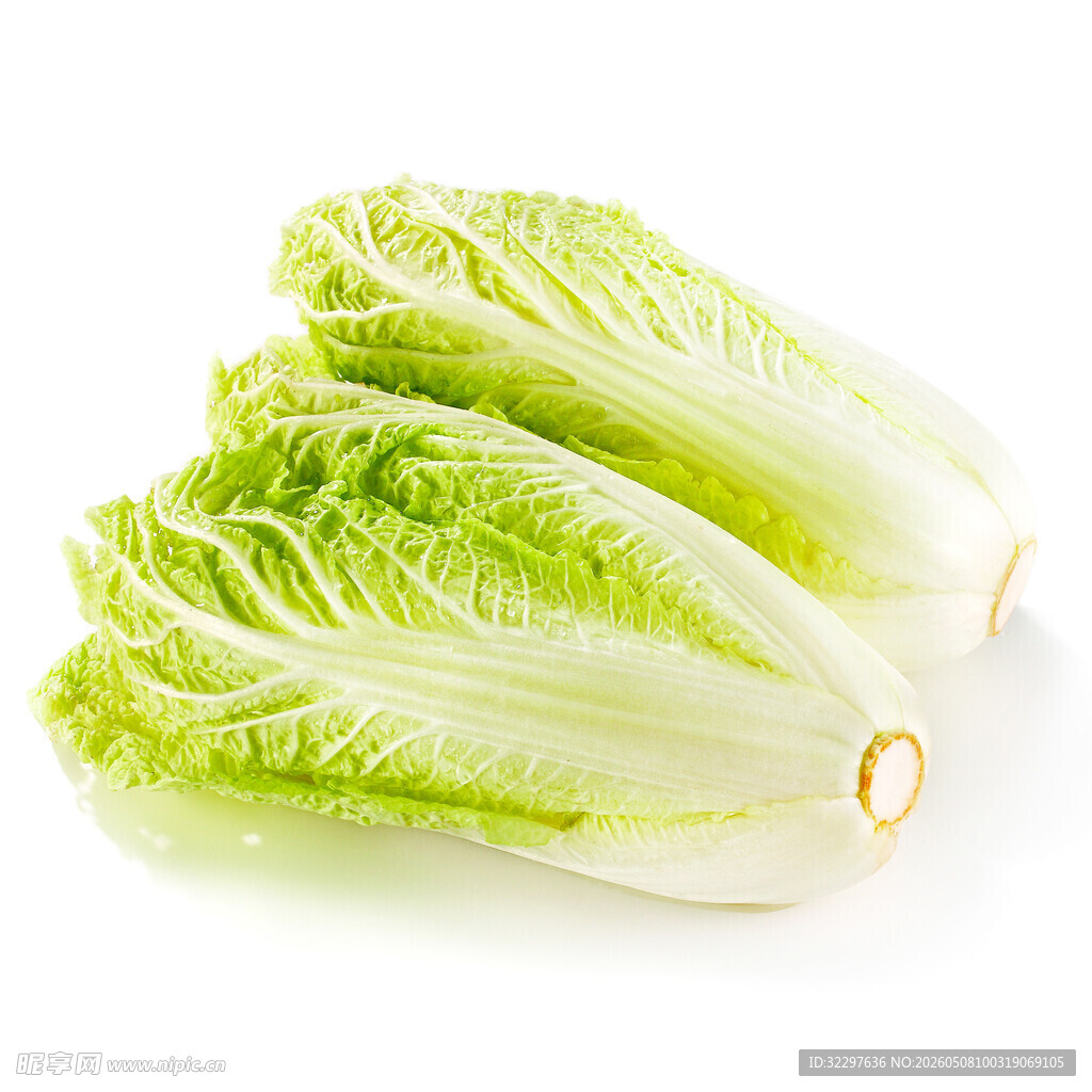 娃娃菜
