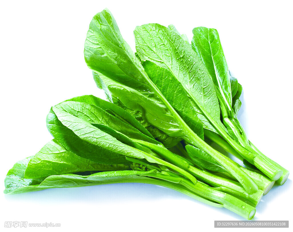 广东菜心