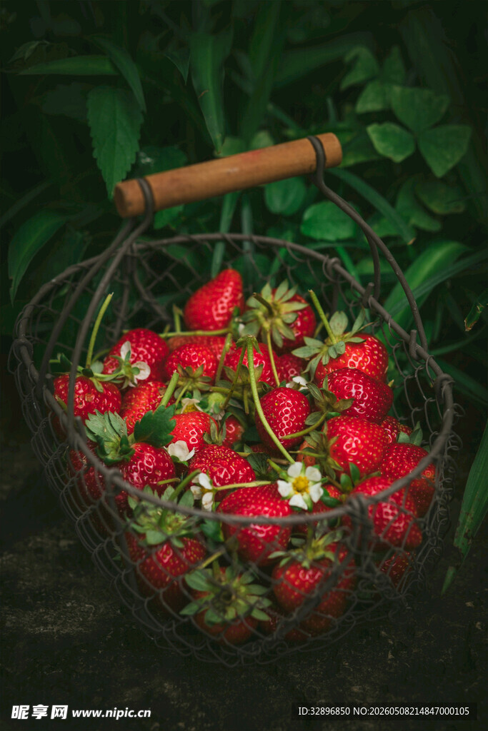 装满草莓的复古铁篮