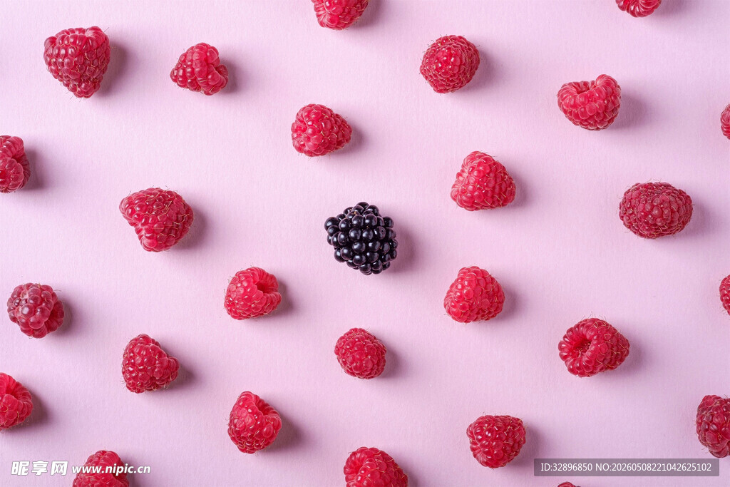 红桑葚中一颗黑桑葚