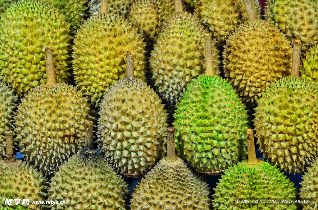 一堆新鲜的榴莲果实