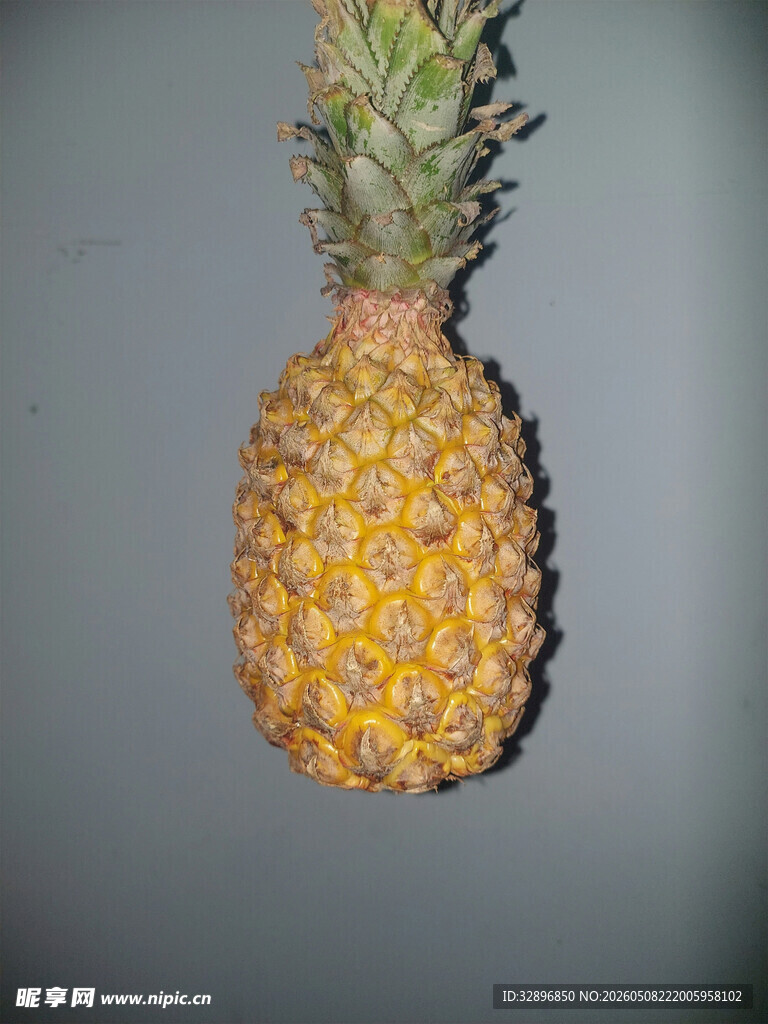 单个新鲜菠萝特写