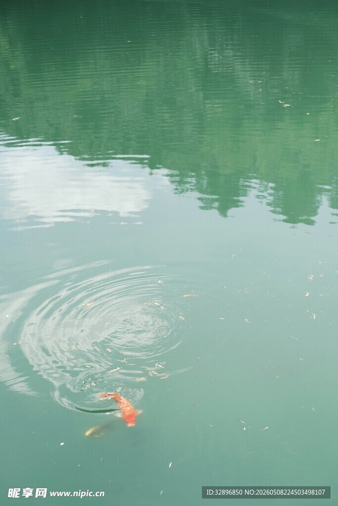 水中涟漪与漂浮物