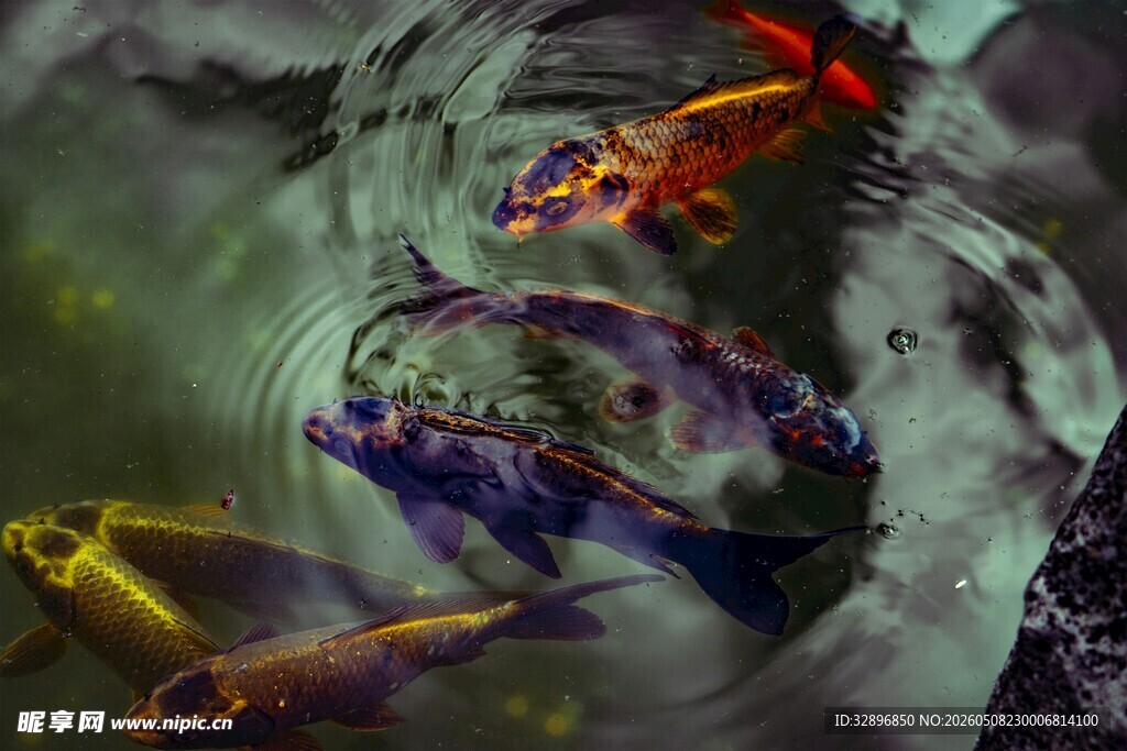 奇幻水底生物战斗场景