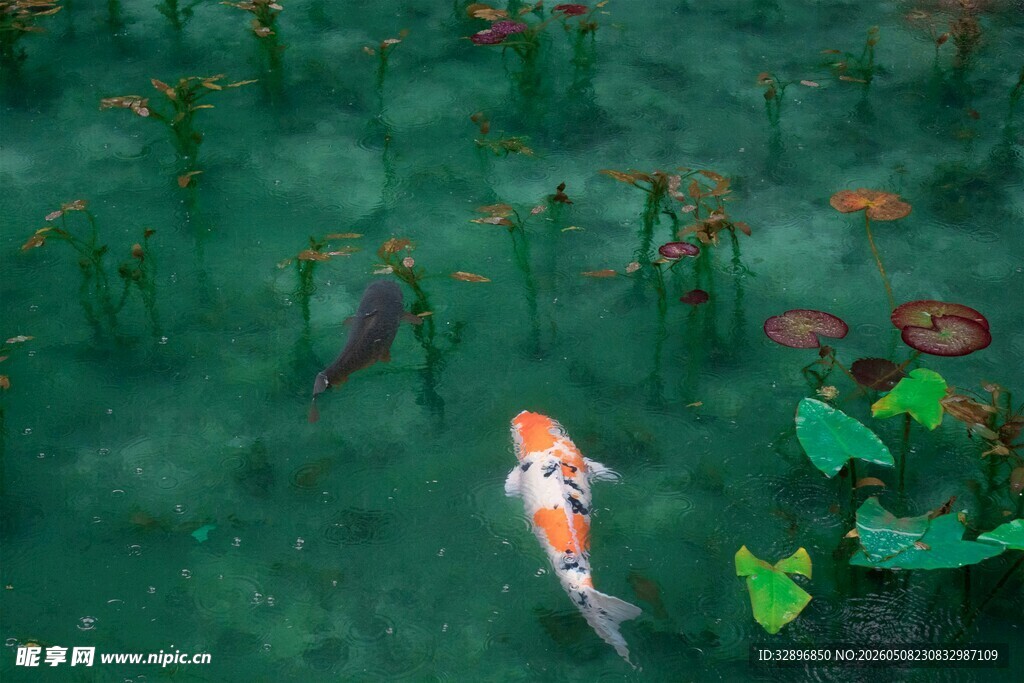 水中女子与绿植的梦幻场景