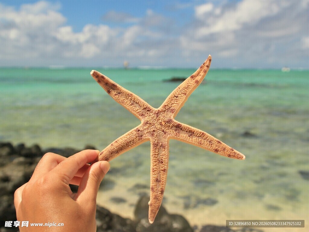 手持海星于碧海蓝天间