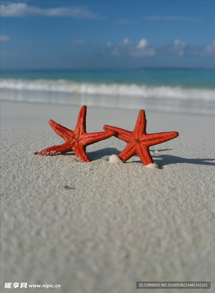 沙滩上的两颗红色海星