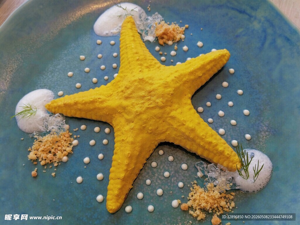 蓝色背景上的海星与贝壳