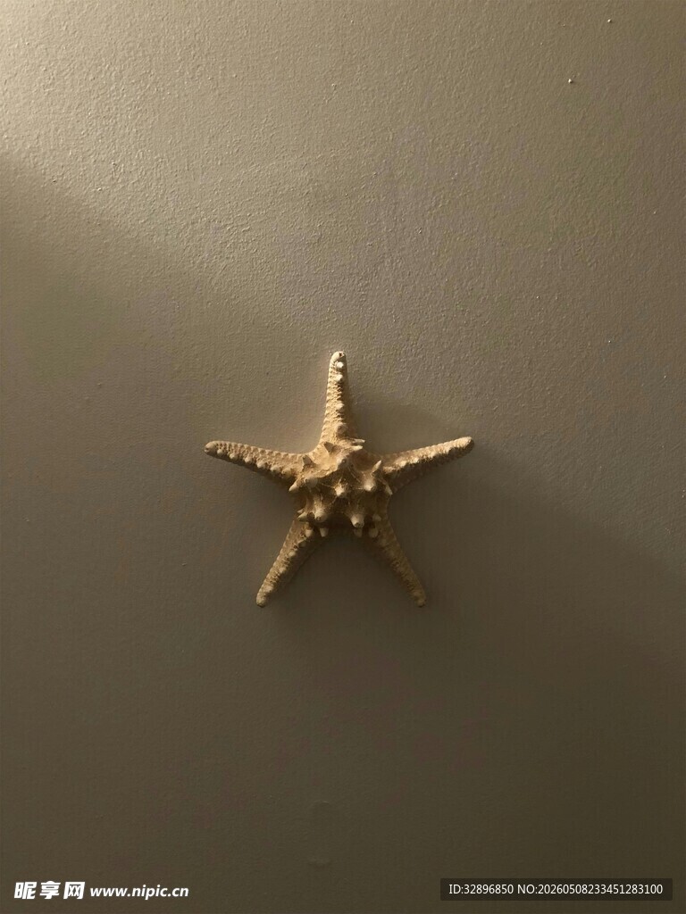 金色海星装饰品