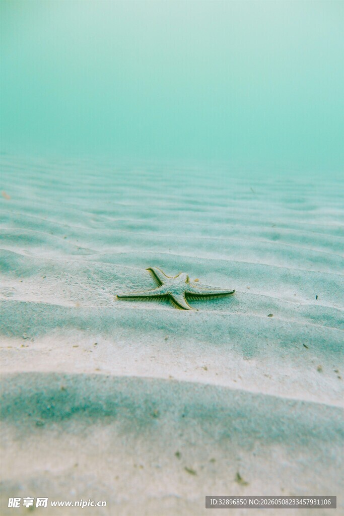 海上飞机翱翔