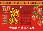 枸杞