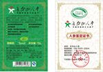 长白山人参