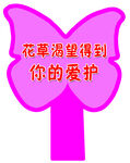 花草牌