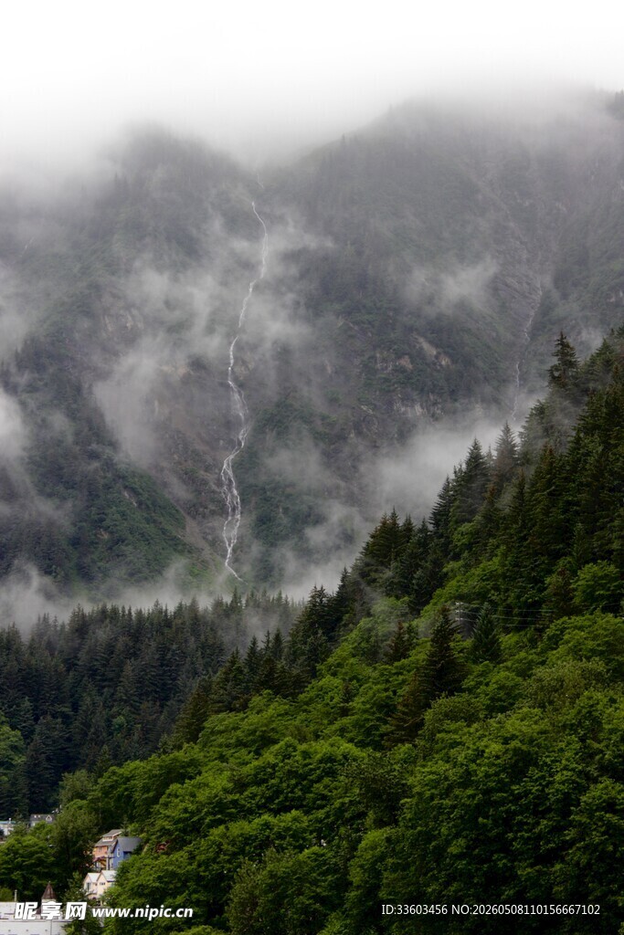 云雾缭绕的山林美景