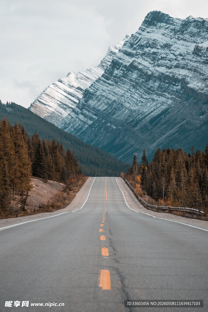 公路伸向雪山森林美景