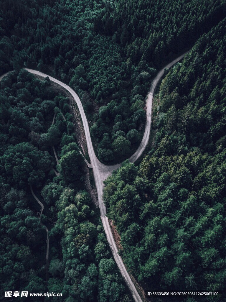 蜿蜒公路穿行茂密森林