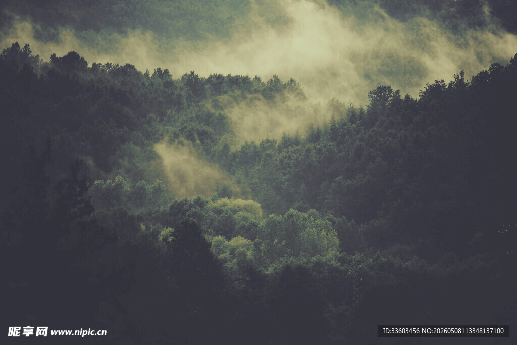 山林间云雾缭绕的美景