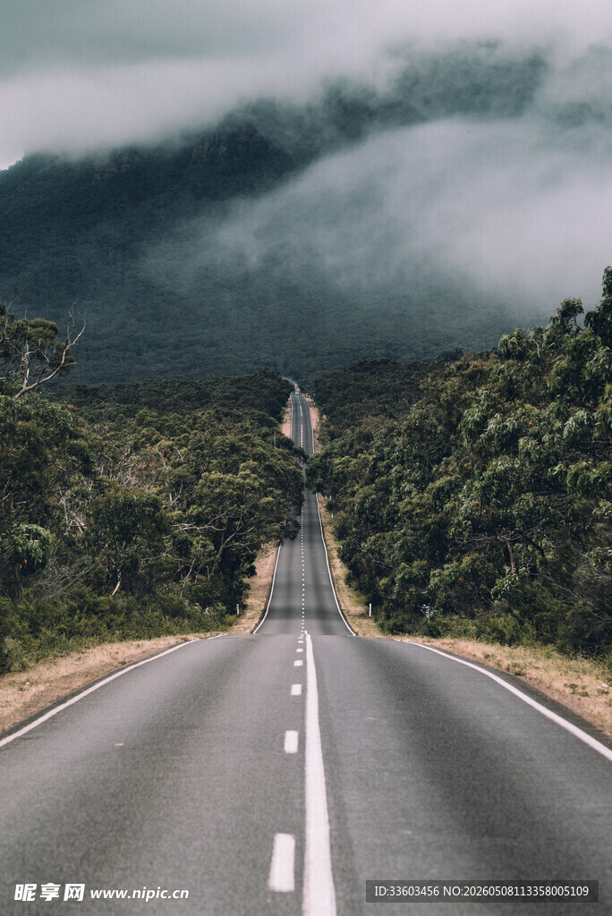 蜿蜒公路穿行于葱郁山林