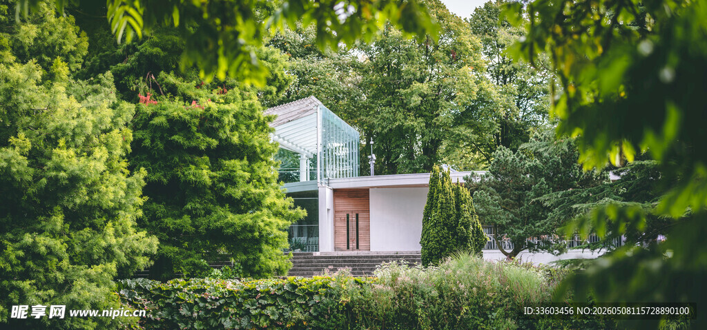 林中隐蔽小屋