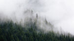 云雾缭绕中的山林美景