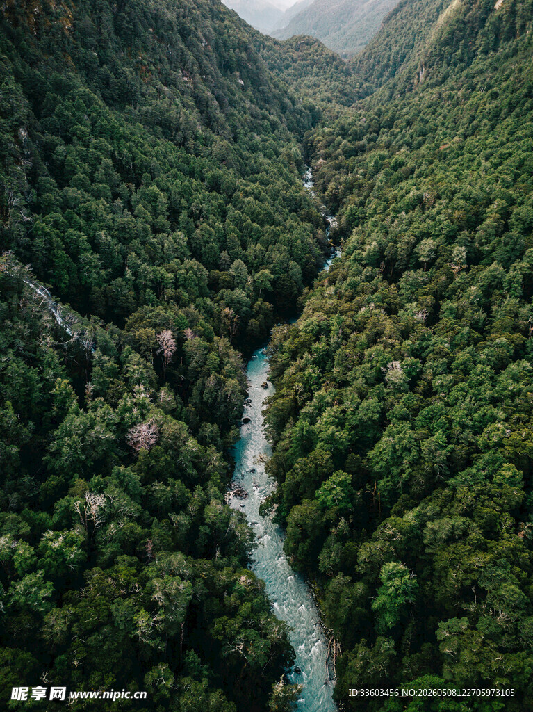 山谷间的翠绿河流景观