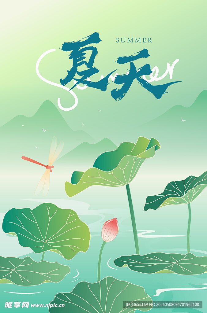 夏日荷塘美景