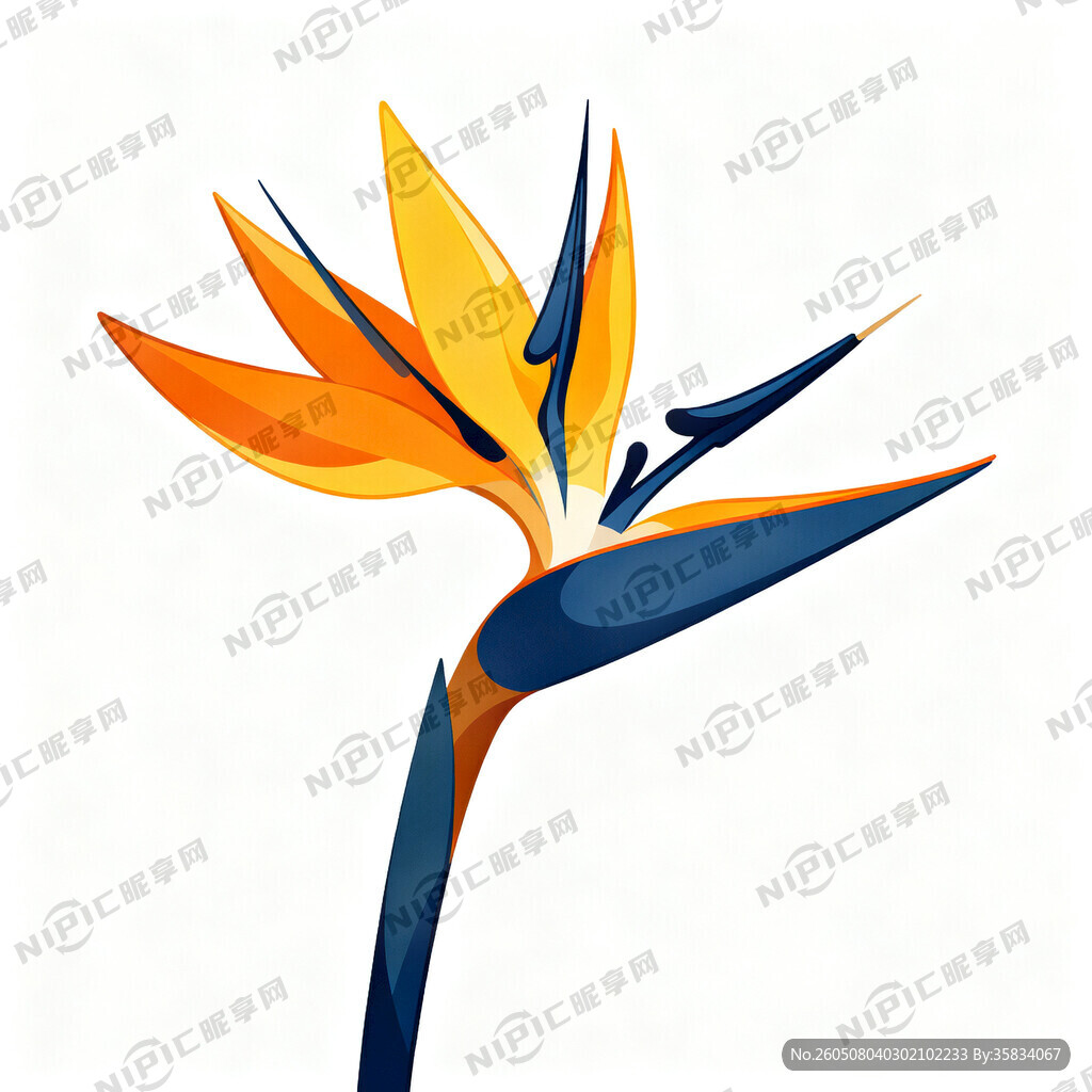 鹤望兰 数码插画 高清简约大气