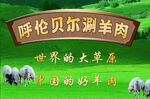 呼伦贝尔湖羊肉宣传灯箱