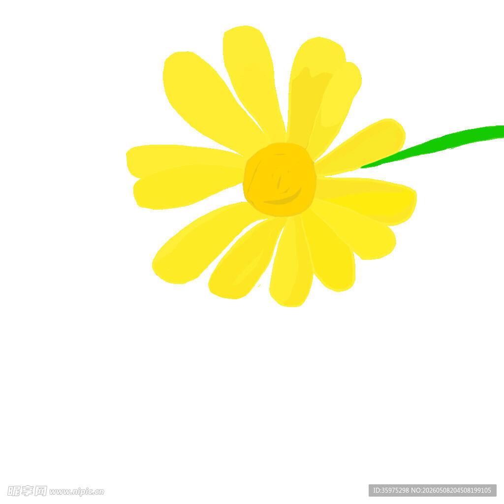 黄色小花插画