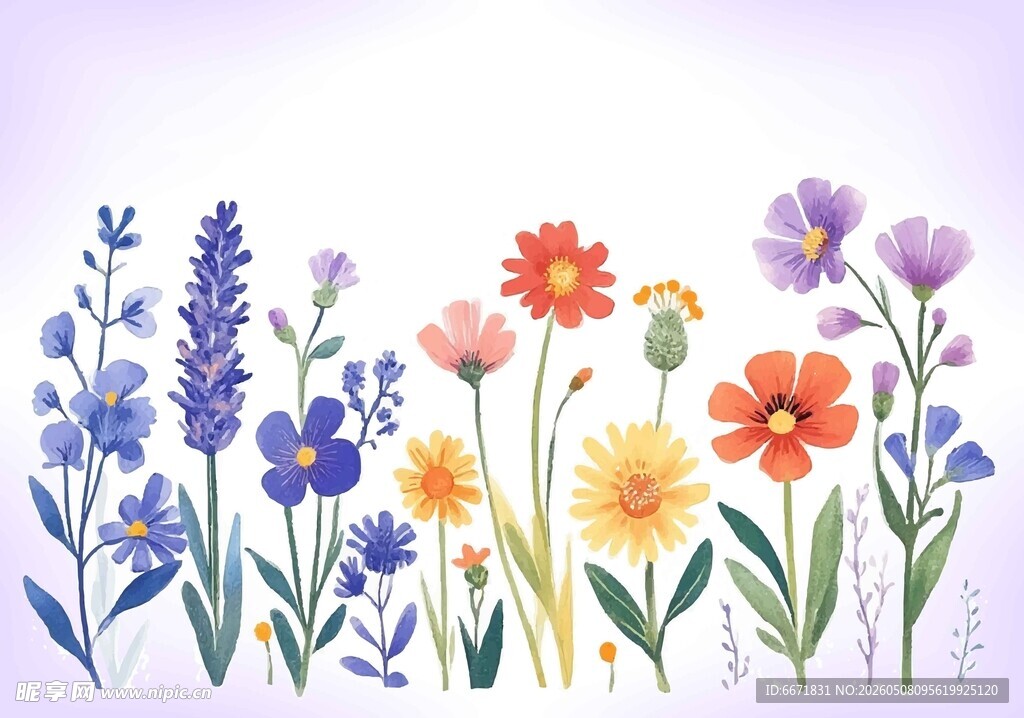 缤纷花卉插画