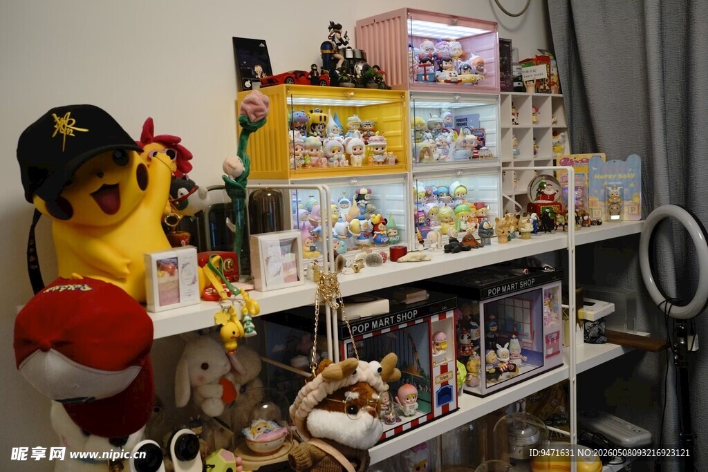 摆满玩偶手办的展示架