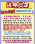 拼豆须知   新手入门关键信息