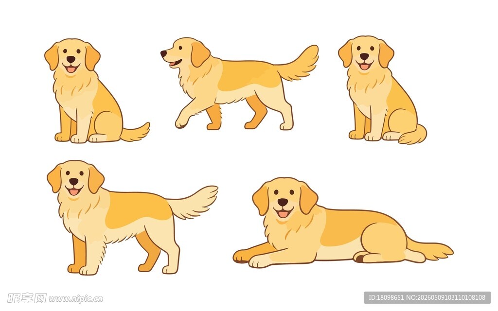 金毛犬图集